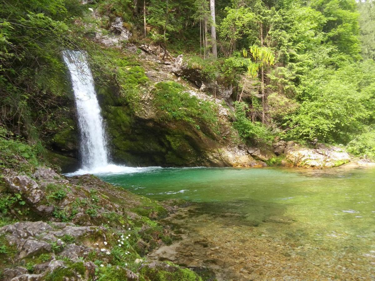 Apartment With A View Bohinjska Bistrica Εξωτερικό φωτογραφία
