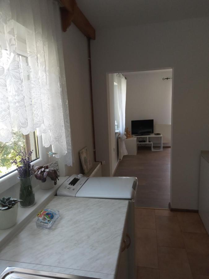 Apartment With A View Bohinjska Bistrica Εξωτερικό φωτογραφία