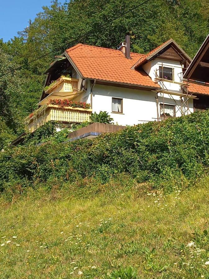 Apartment With A View Bohinjska Bistrica Εξωτερικό φωτογραφία