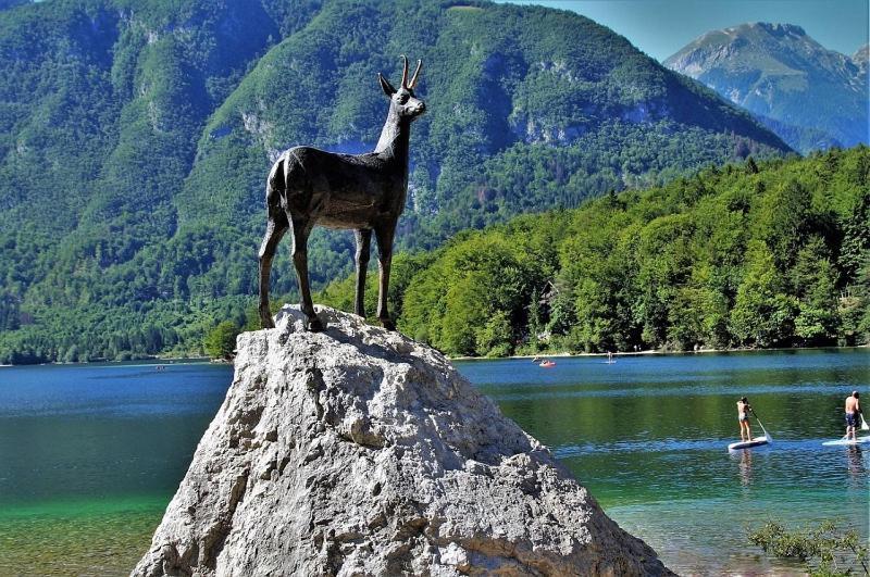 Apartment With A View Bohinjska Bistrica Εξωτερικό φωτογραφία